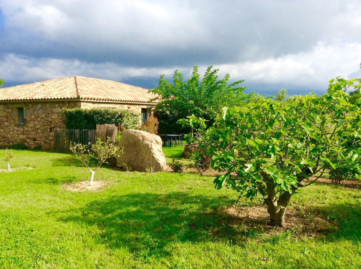 Clos Simoni Figari Kültér fotó